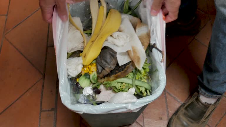 Same-Day Junk Removal Services in Royal Palm Estates, FL